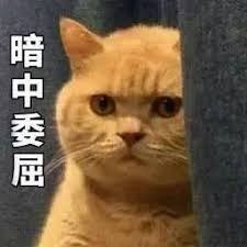 jadwal piala dunia u20 Qin Shaoyou tidak bisa menahan diri untuk bergumam di dalam hatinya: Saya tidak akan dikutuk oleh seseorang
